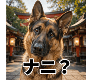854890204