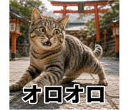 854890223