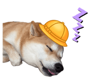 854906455