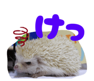 854907197