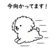 854907629
