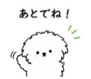 854907647