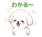 854907737