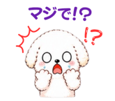 854907741