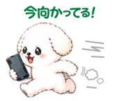854907749