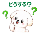 854907754