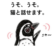 854907806