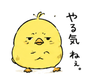 854912226