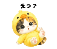 854912292