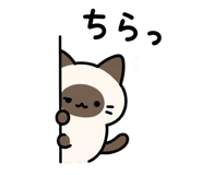 854912675