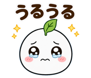 854914035