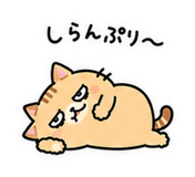 854915280
