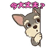 854916193