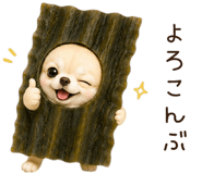 854916683