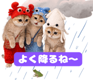 854917030