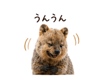 854918168
