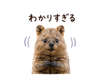 854918176