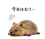 854918177