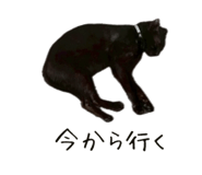 854944608