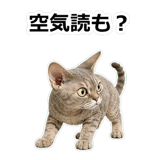 854946436