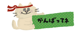 854947155