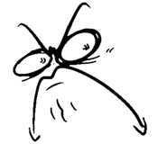 854948060