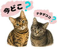 854948298