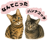 854948302