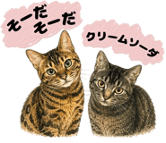 854948306