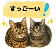854948317