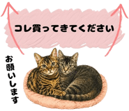 854948321