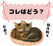 854948322