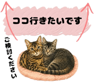 854948325