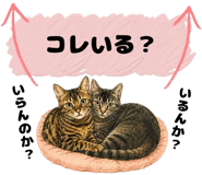 854948326