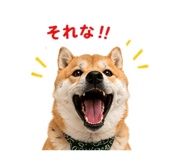 854949641
