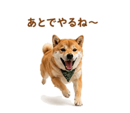 854949642