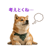 854949644