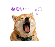854949648