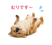 854949651