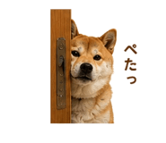 854949652