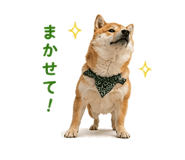 854949653
