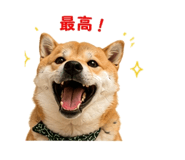 854949655