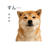 854949656