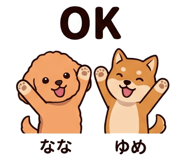 854951176