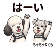 854951289