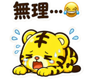 854951311