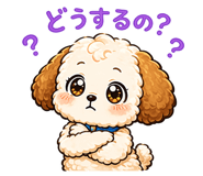854952585