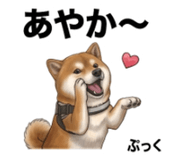 854952784