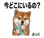 854952787