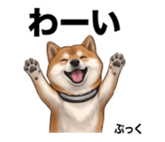 854952797